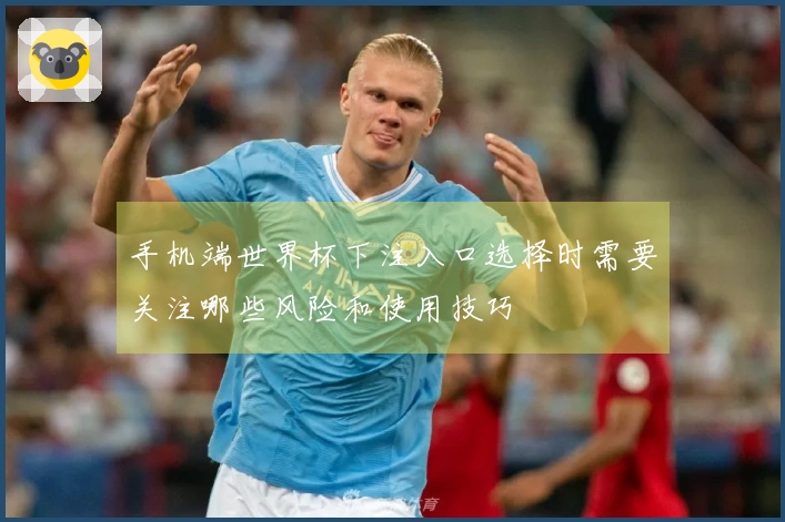 手机端世界杯下注入口选择时需要关注哪些风险和使用技巧