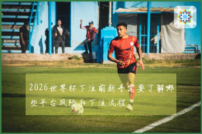 2026世界杯下注前新手需要了解哪些平台风险和下注流程