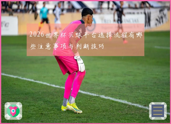 2026世界杯买球平台选择流程有哪些注意事项与判断技巧