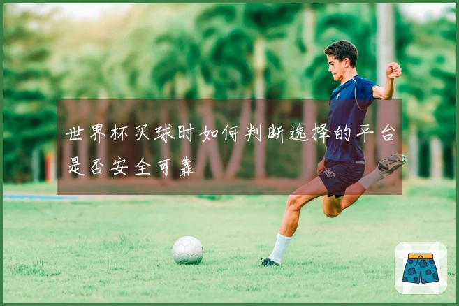 世界杯买球时如何判断选择的平台是否安全可靠