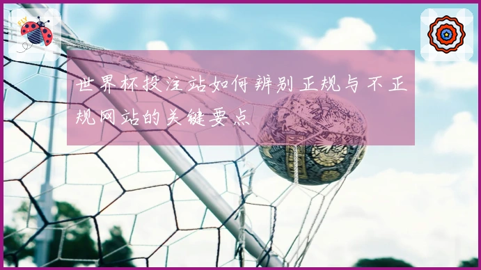 世界杯投注站如何辨别正规与不正规网站的关键要点