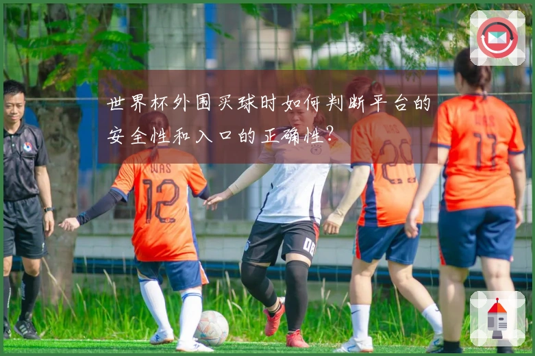 世界杯外围买球时如何判断平台的安全性和入口的正确性？