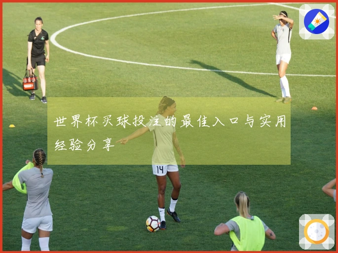 世界杯买球投注的最佳入口与实用经验分享