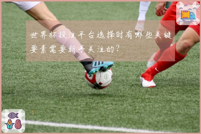 世界杯投注平台选择时有哪些关键要素需要新手关注的？