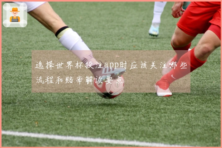 选择世界杯投注app时应该关注哪些流程和赔率解读要点