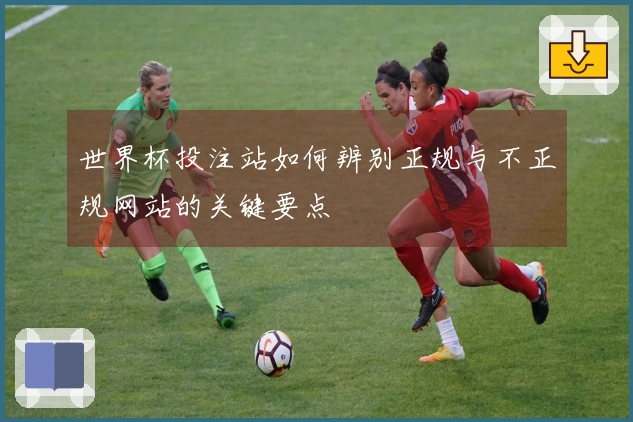 世界杯投注站如何辨别正规与不正规网站的关键要点