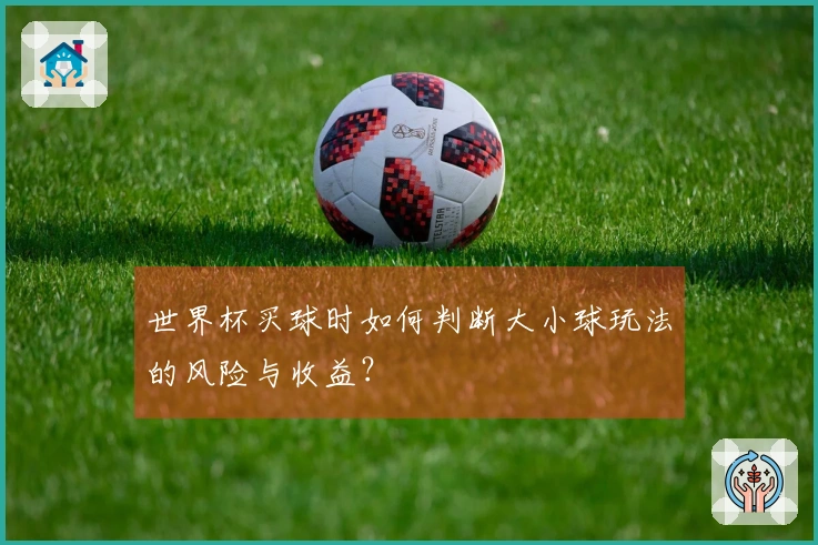世界杯买球时如何判断大小球玩法的风险与收益？