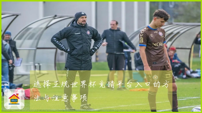 选择正规世界杯竞猜平台入口的方法与注意事项