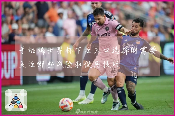 手机端世界杯下注入口选择时需要关注哪些风险和使用技巧