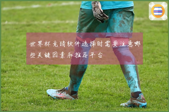世界杯竞猜软件选择时需要注意哪些关键因素和推荐平台