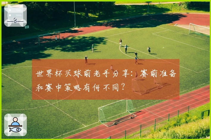 世界杯买球前老手分享：赛前准备和赛中策略有何不同？