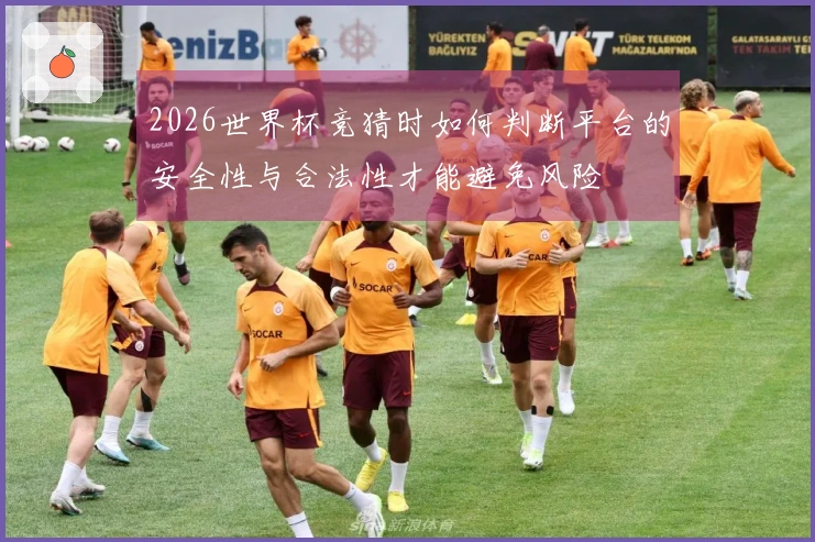2026世界杯竞猜时如何判断平台的安全性与合法性才能避免风险