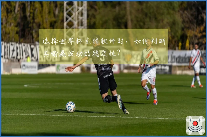 选择世界杯竞猜软件时，如何判断其输赢波动的稳定性？
