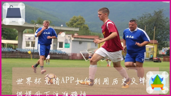 世界杯竞猜APP如何利用历史交锋数据提升下注准确性