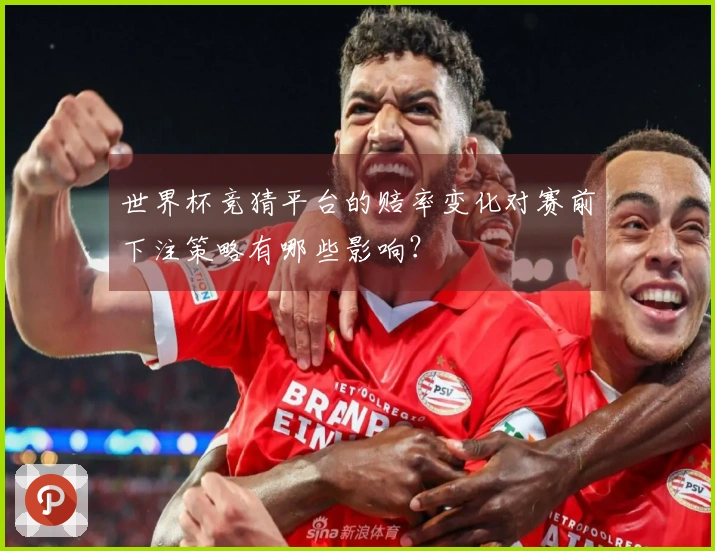 世界杯竞猜平台的赔率变化对赛前下注策略有哪些影响？