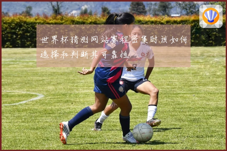 世界杯猜测网站赛程密集时该如何选择和判断其可靠性
