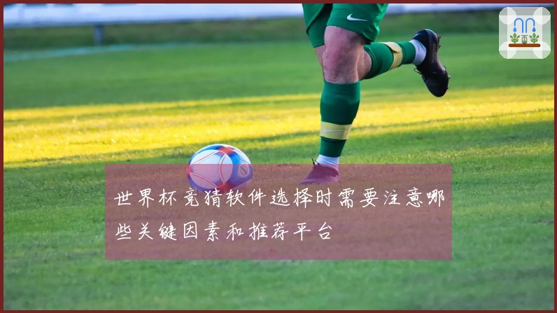 世界杯竞猜软件选择时需要注意哪些关键因素和推荐平台