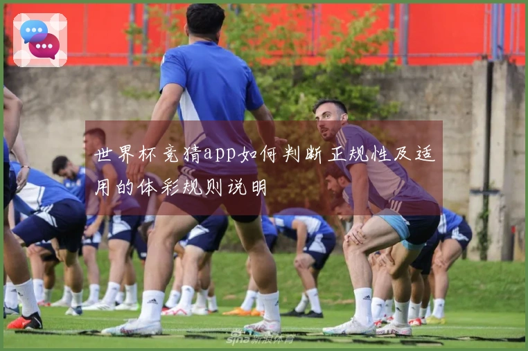 世界杯竞猜app如何判断正规性及适用的体彩规则说明