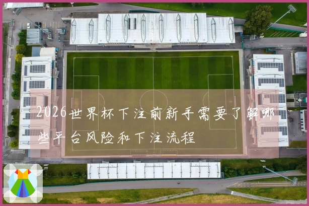 2026世界杯下注前新手需要了解哪些平台风险和下注流程