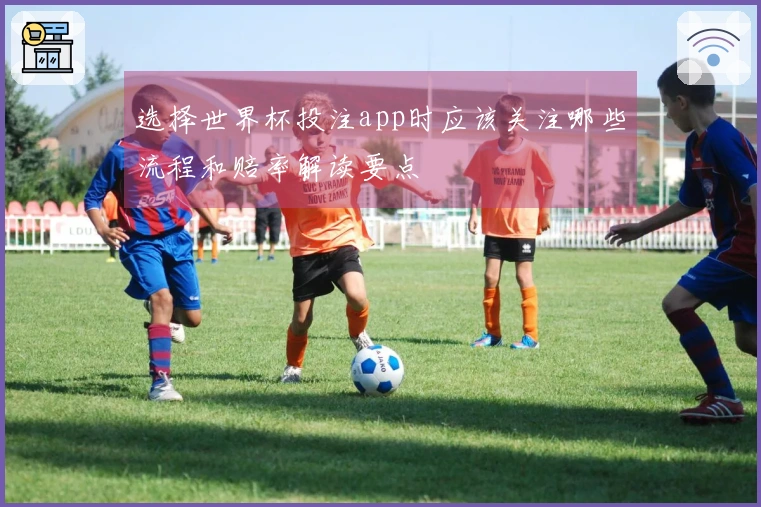选择世界杯投注app时应该关注哪些流程和赔率解读要点