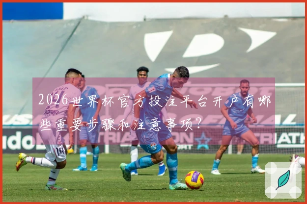 2026世界杯官方投注平台开户有哪些重要步骤和注意事项？