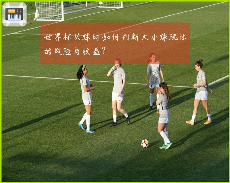 世界杯买球时如何判断大小球玩法的风险与收益？