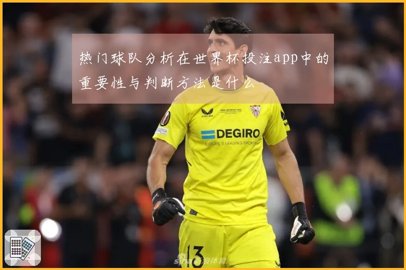 热门球队分析在世界杯投注app中的重要性与判断方法是什么