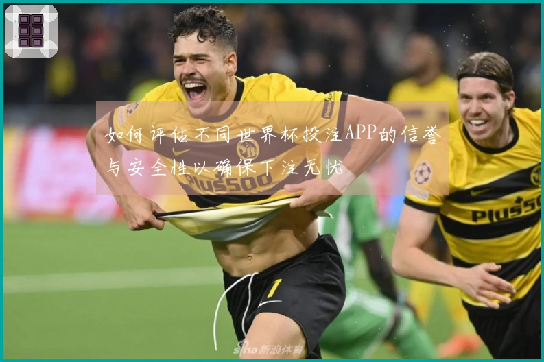 如何评估不同世界杯投注APP的信誉与安全性以确保下注无忧